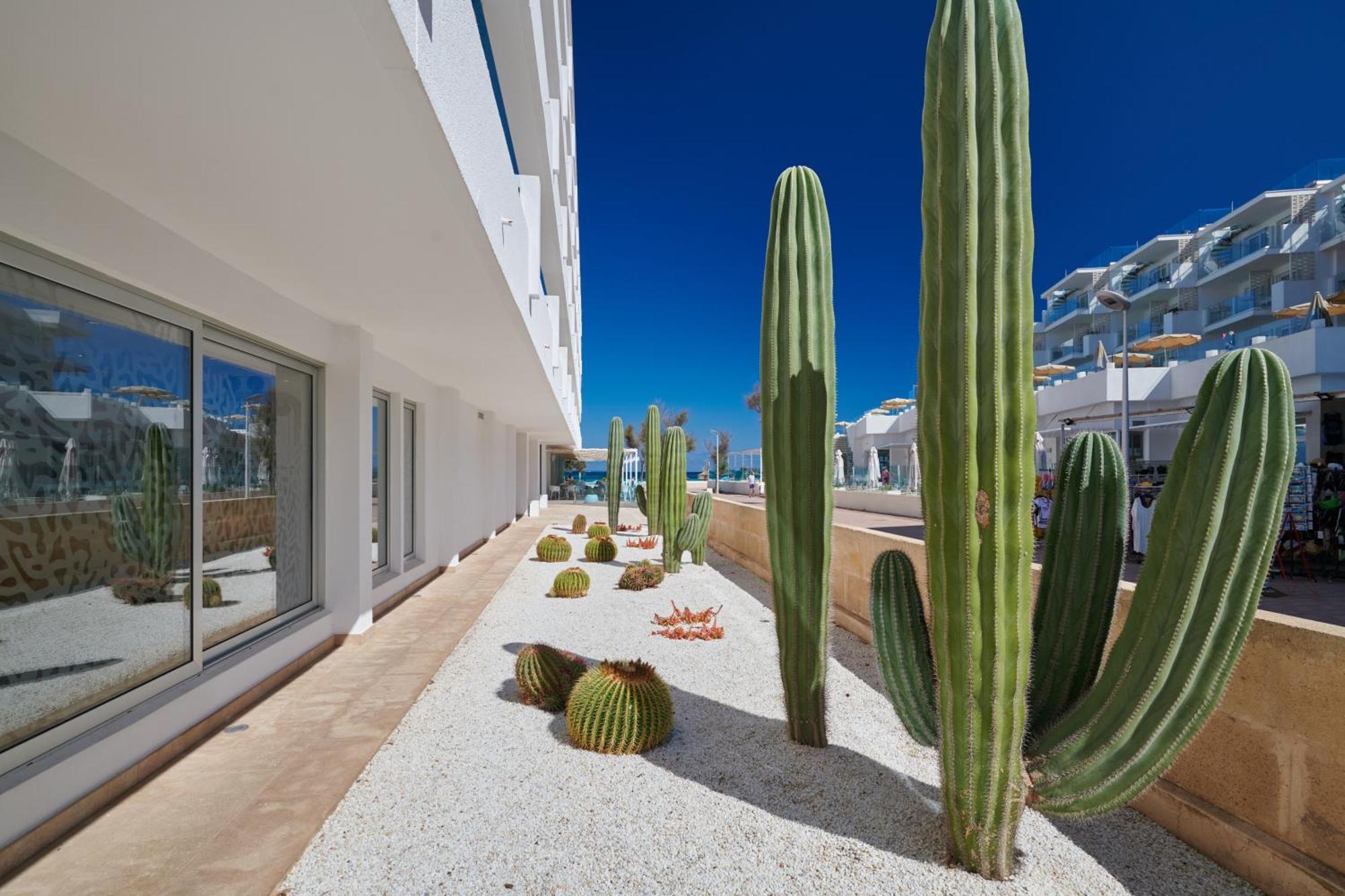 The Sea Hotel By Grupotel - Adults Only Can Picafort  Luaran gambar